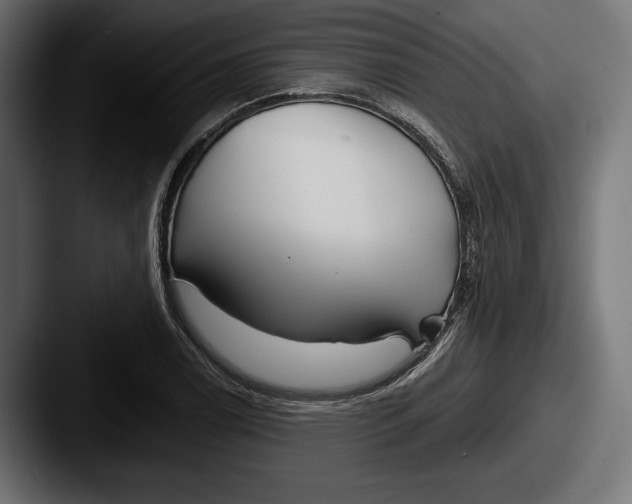 X0000087511122200705180949