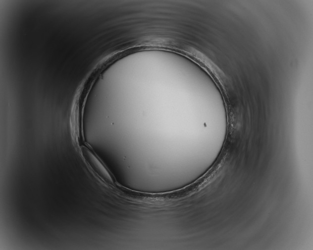 X0000087511123200705180949