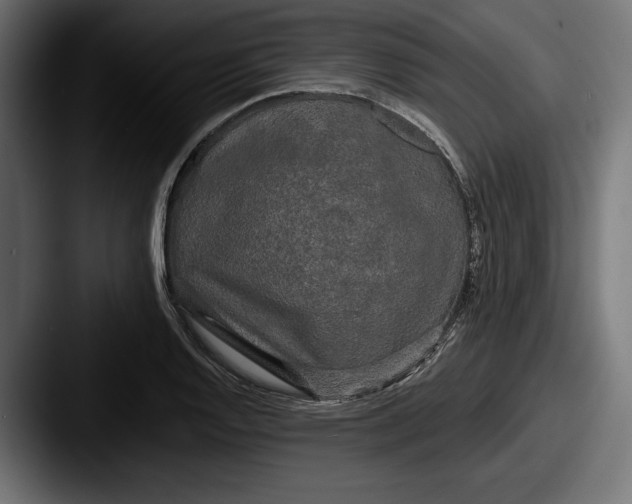 X0000087511128200705180949