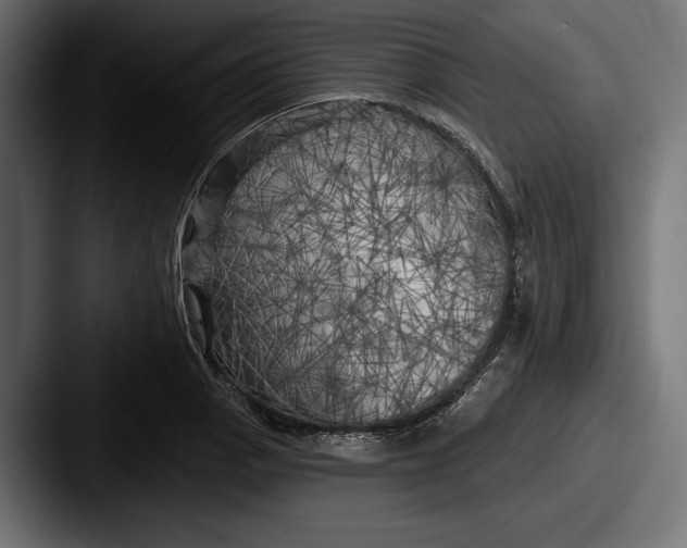 X0000087511129200705180949
