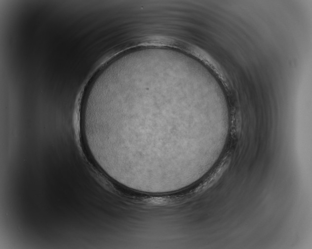 X0000087511130200705180949