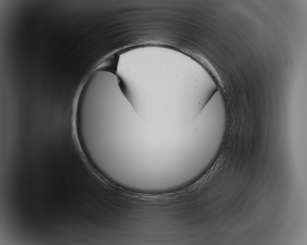 X0000087511132200705180949