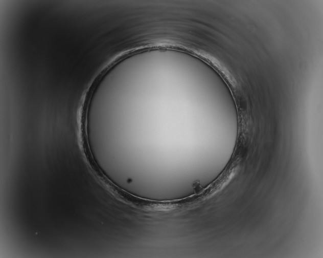 X0000087511134200705180949