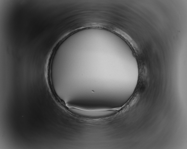X0000087511135200705180949