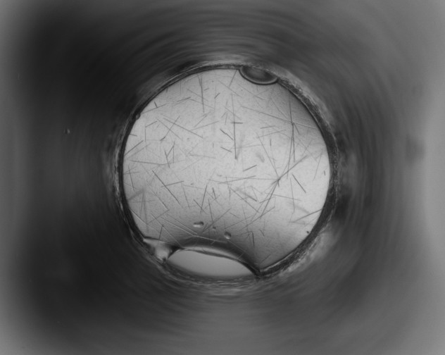 X0000087511137200705180950