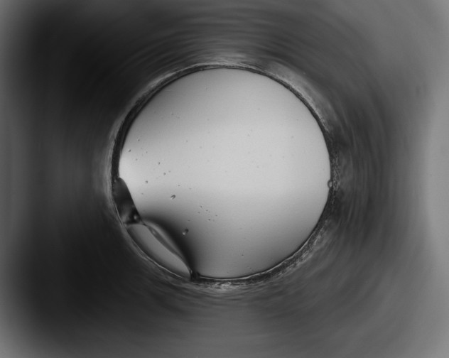X0000087511139200705180950