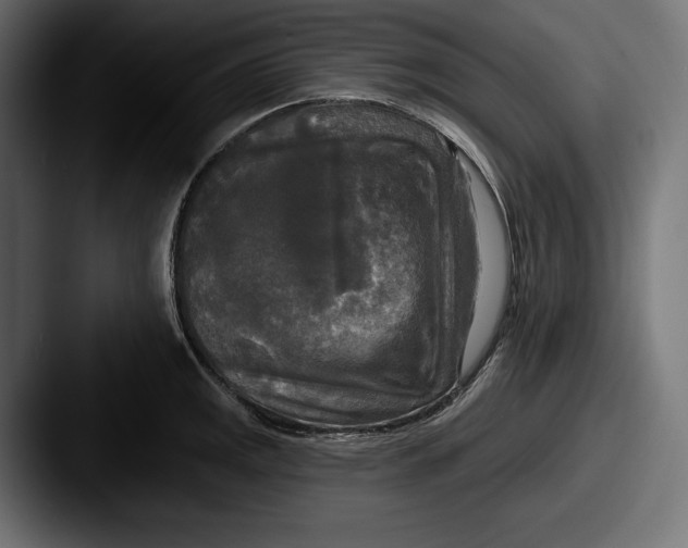 X0000087511141200705180950