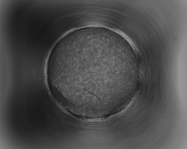 X0000087511142200705180950