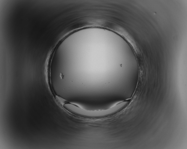 X0000087511143200705180950