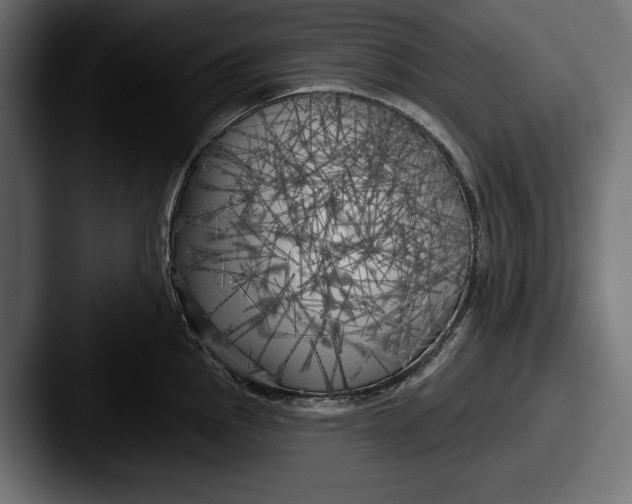 X0000087511145200705180950
