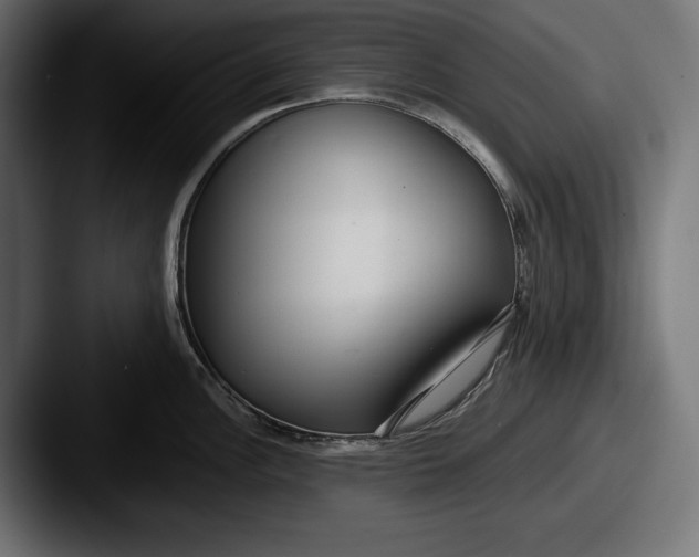X0000087511148200705180950