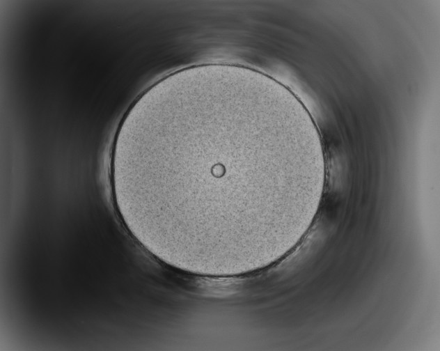 X0000087511150200705180950