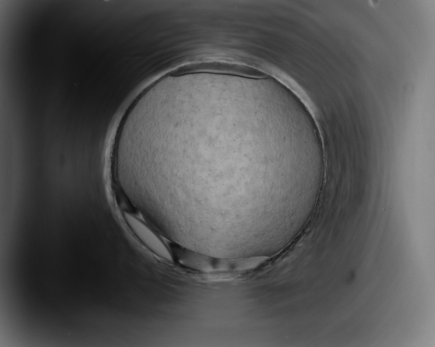 X0000087511152200705180950
