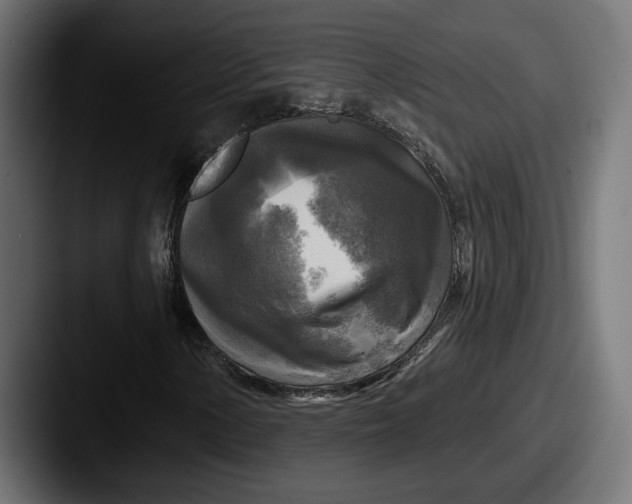 X0000087511154200705180949
