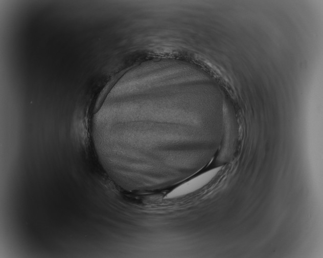 X0000087511156200705180949