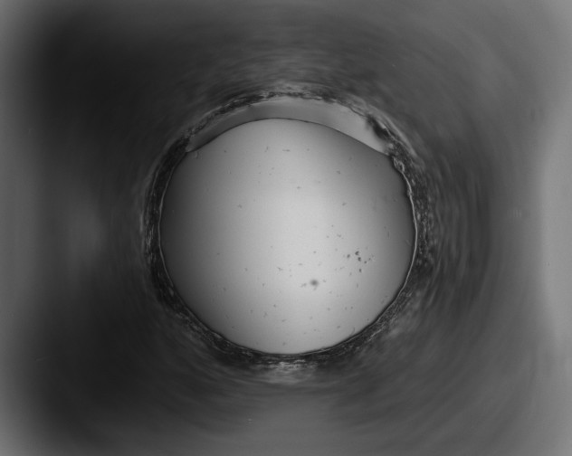 X0000087511160200705180949