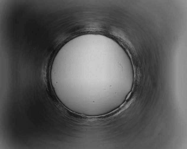 X0000087511162200705180949