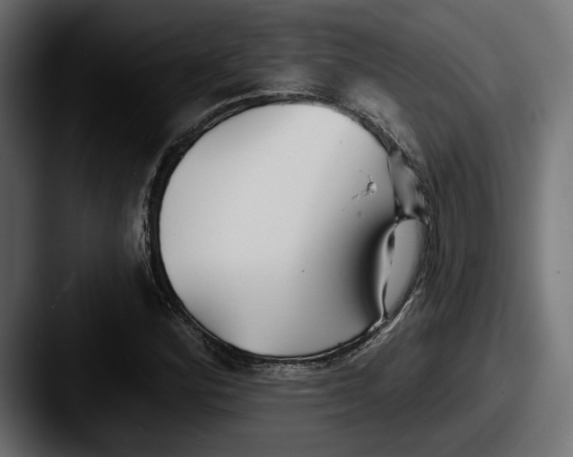 X0000087511164200705180949