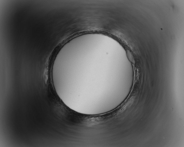 X0000087511165200705180949