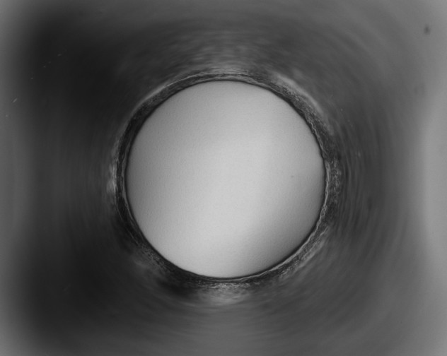 X0000087511166200705180949