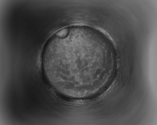 X0000087511167200705180949