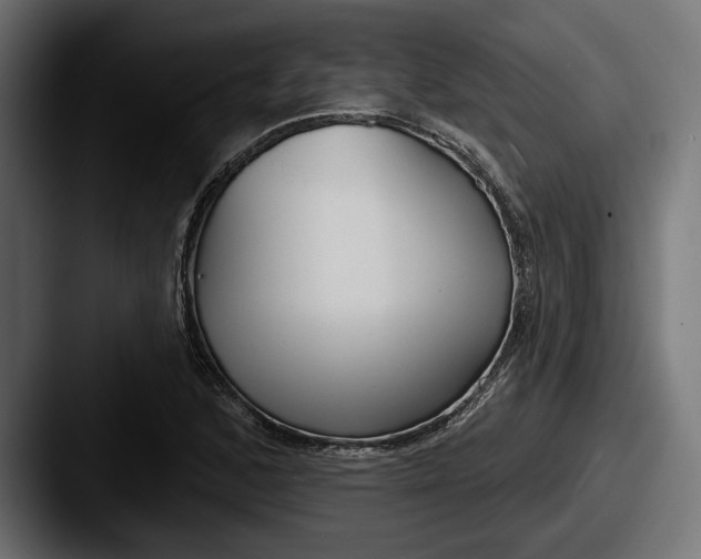 X0000087511168200705180949