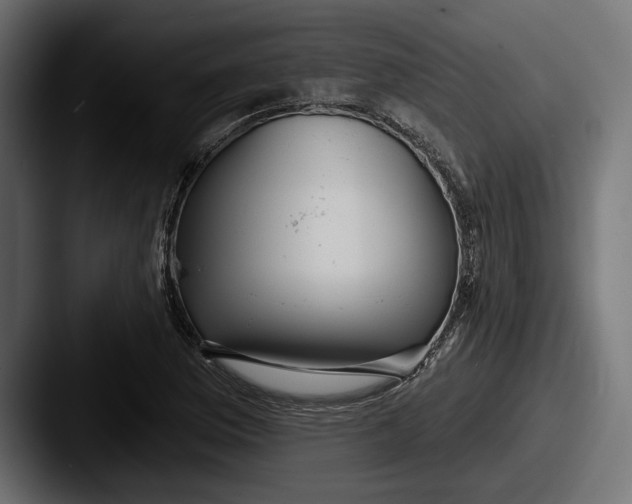 X0000087511169200705180949