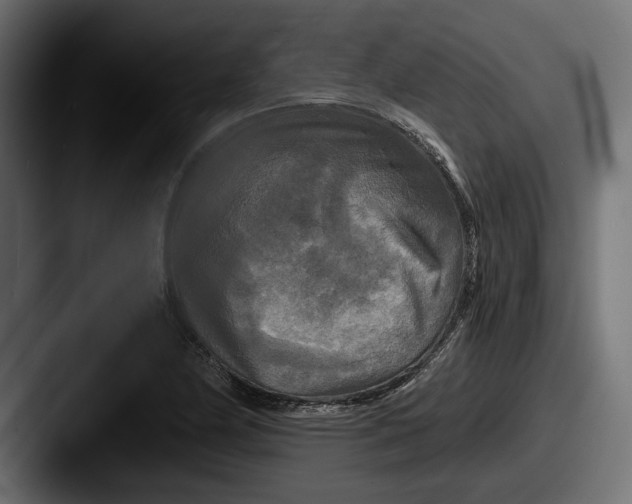 X0000087511174200705180949