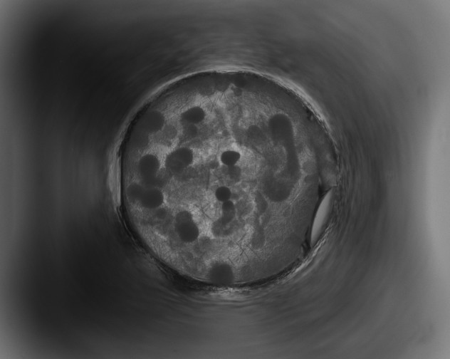 X0000087511175200705180949