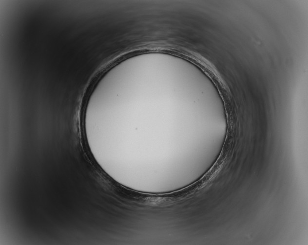 X0000087511176200705180949
