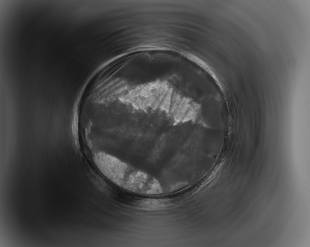 X0000087511179200705180949