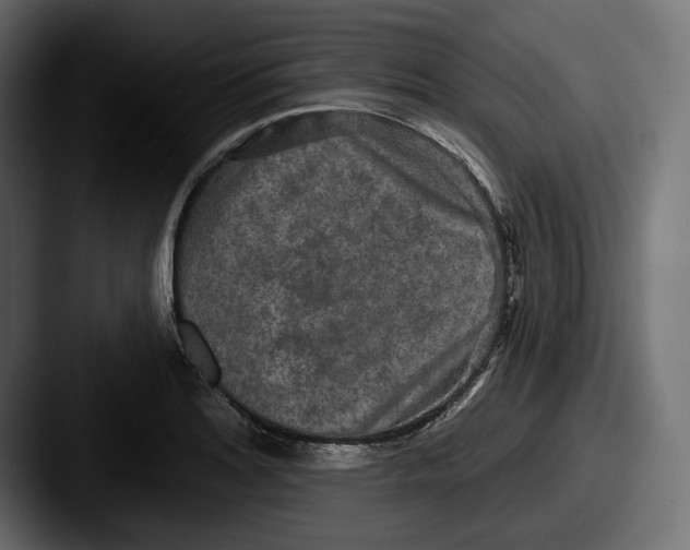 X0000087511180200705180949