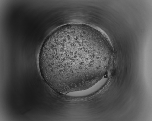 X0000087511183200705180949