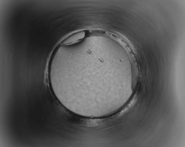 X0000087511184200705180949
