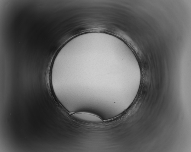 X0000087511186200705180949