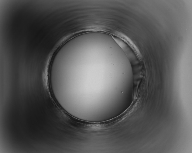 X0000087511188200705180949