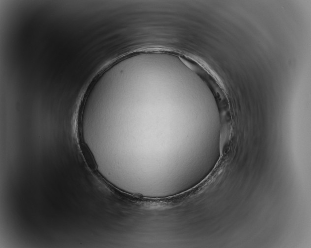 X0000087511189200705180949