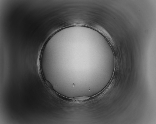X0000087511190200705180949