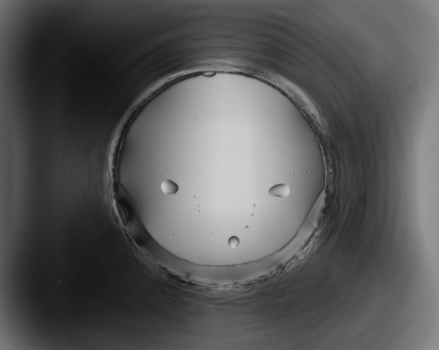 X0000087511192200705180949