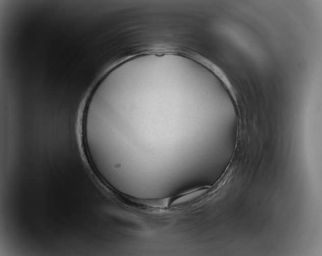 X0000087511195200705180949