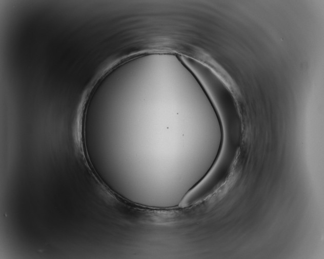 X0000087511196200705180949