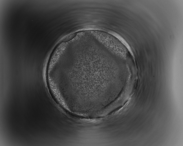 X0000087511197200705180949