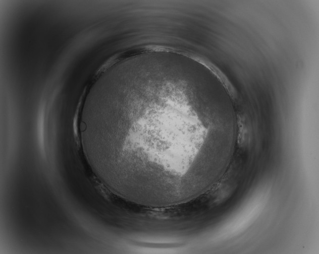X0000087511198200705180949