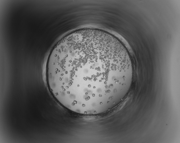 X0000087511199200705180949