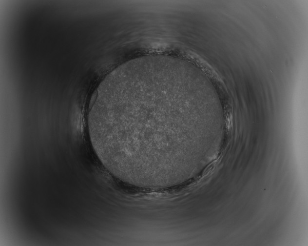 X0000087511204200705180948