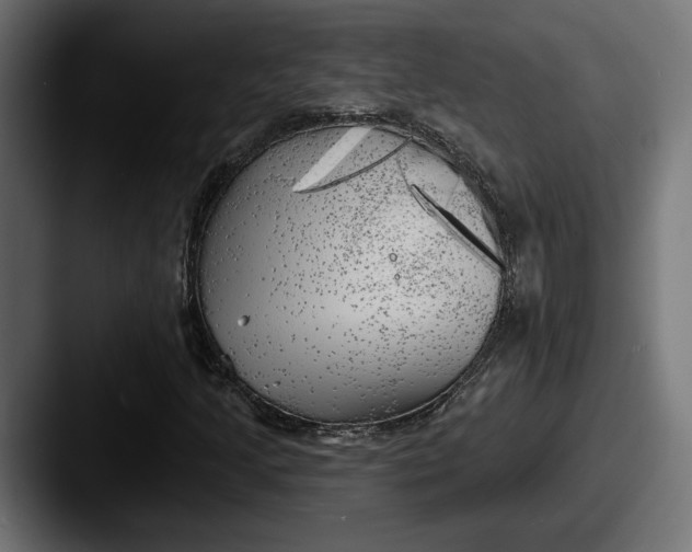 X0000087511205200705180948