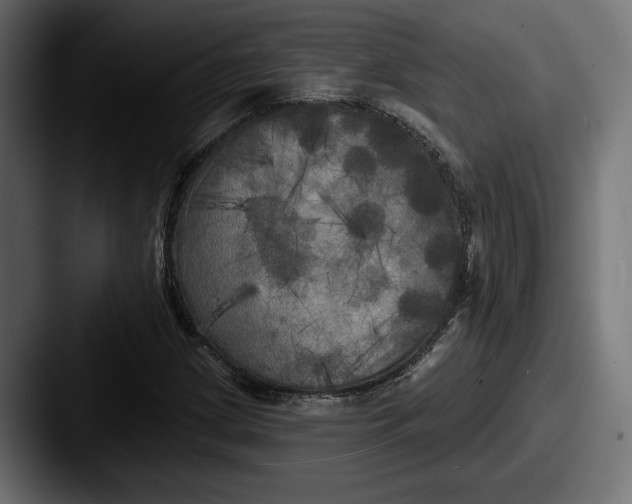 X0000087511209200705180948