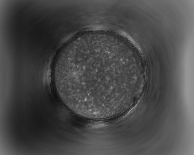 X0000087511213200705180948