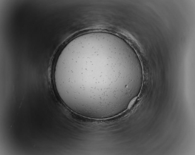X0000087511216200705180948