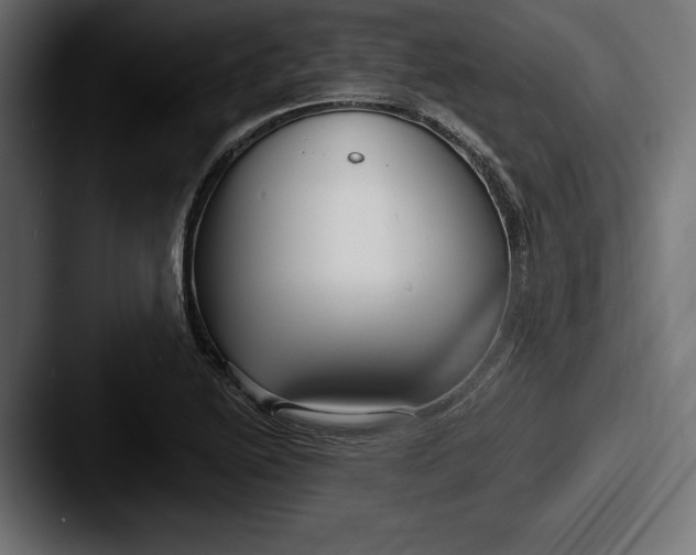 X0000087511222200705180948